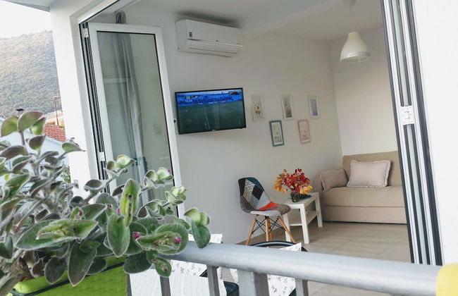 Guest house Djonovic - Foto 54