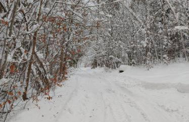 Apartament Buczyna - Foto 16