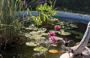 La Corte del Macero - Foto 7