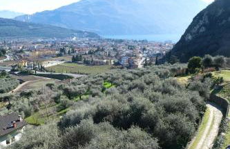 Casa Segantini - Panorama Pool Apartment - Photo 26