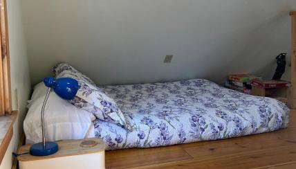 Peaceful Cozy Cottage in the Vermont Woods - Foto 5