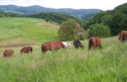 Pferdehof Dörsam - Photo 8
