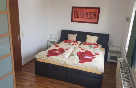 2-Raum Apartment in guter Lage für Köln-Bonn-Siegbug - Foto 5