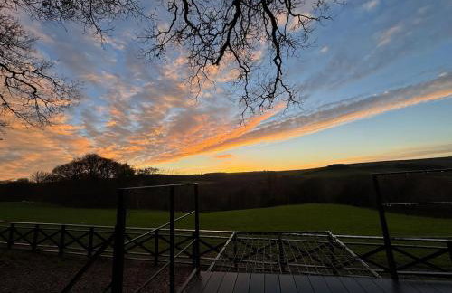 The Squirrel - Foto 29