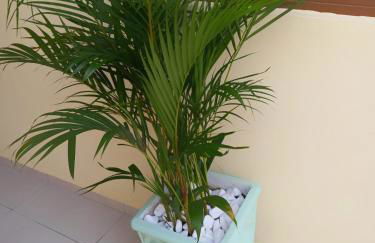 Chácara Helenna Colonetti - Foto 24