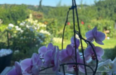 Fewo trallafitti - Foto 7