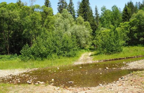 Sarnówka KDN - Foto 43