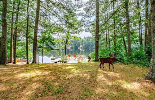 Dock! Dog-Friendly Lakefront Gem in Southern Maine - Foto 32