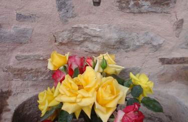 Agriturismo La Marginella - Foto 31