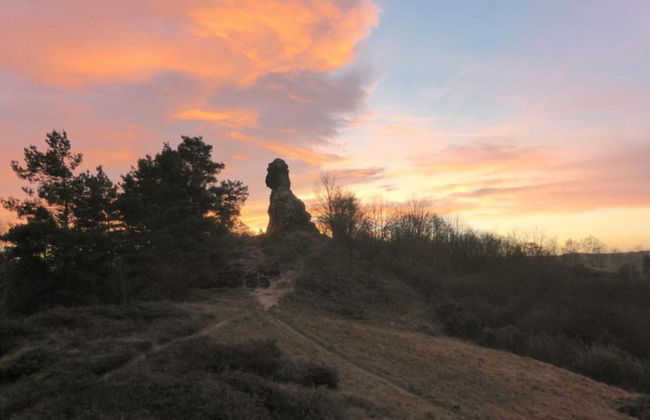 Spacious Apartment in Ballenstedt Harz near Lake - Photo 29