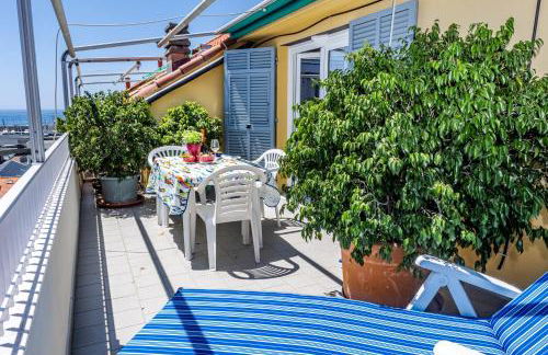 Seagulls, Elegance and Freedom - Foto 1