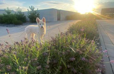 Pokój z sauną - Foto 8