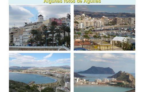 Aguilas Prolongación Armando Muñoz Calero - Foto 19