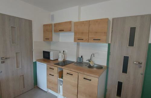 Apartament u Krystynki - Foto 13