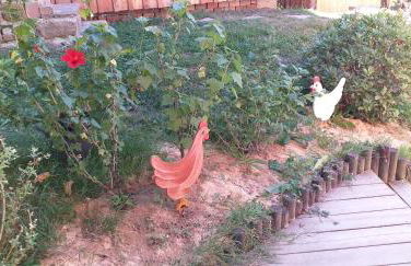 Cocon de St Pierre - Foto 12