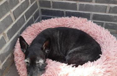 Leafield Holiday Home - Foto 21