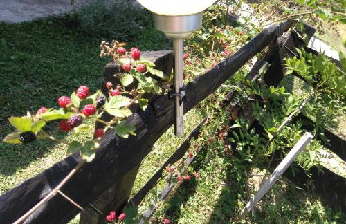 Plitvice Lakes Holiday Lodge - Foto 26