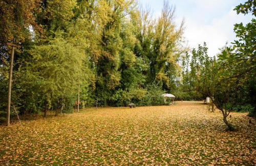 Molinos de Fuenteheridos - Foto 34