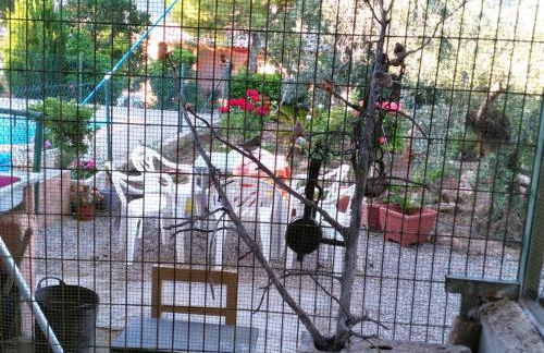 Alojamientos Rurales la Loma - Foto 40