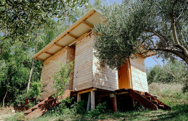 Ljubac Glamping Belltent Robinson - Foto 4