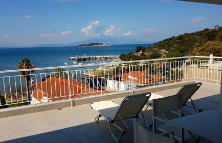 Aristotelia Gi - Panorama - Photo 1