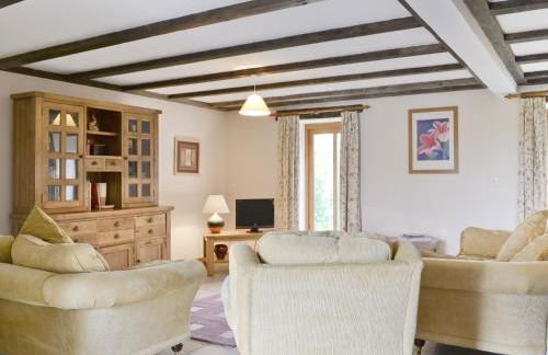 Coriander - E4323 - Foto 2