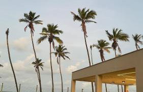 Casa e Canella - Apartamento Aconchegante Pé na Areia - Ilhéus - Foto 61