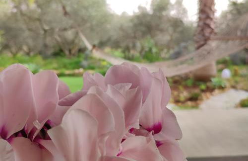 Dimora Virone Paradiso - Foto 23