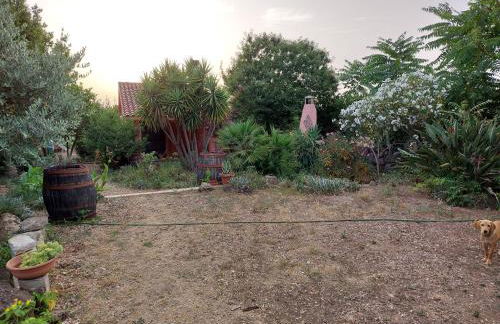 Villa Anna - Foto 19