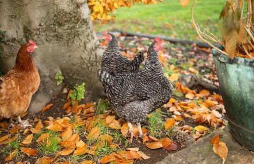 Dove House Cottages - No 1 - Foto 24