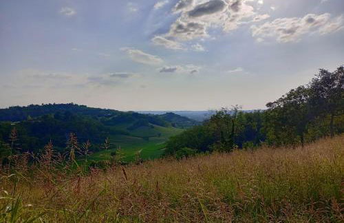 Casa delle foglie sussurranti - Foto 18