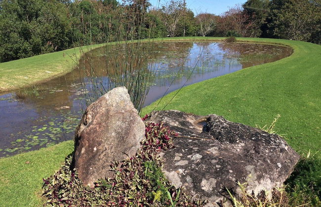 Clairewood - Foto 37