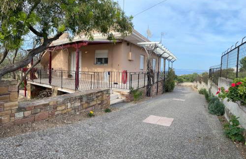 Lemon & Lavender - Photo 33