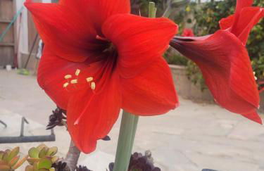 Llar de Laura - Foto 22