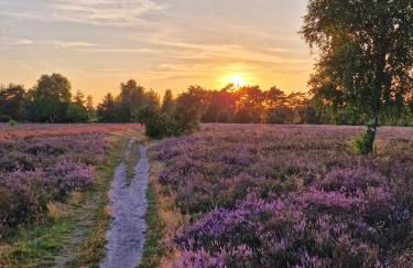 Ferienwohnungen am Wildpark Müden-Örtze - Photo 9