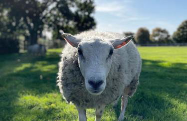 The Granary, Norfolk - Foto 17