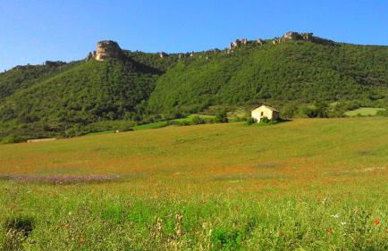 gite des deux rivières - Photo 3