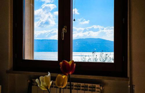 Altavista - Vista lago panoramica 180 gradi - Foto 29