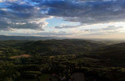 Szumią Dęby - Marcyporęba - Photo 26