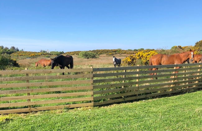 Country Retreat Sleeps 2 Near Cymyran Beach - Foto 20