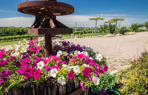 Agriturismo Le Mistral - Foto 50