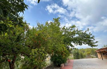 Finca Vitoria - Foto 26