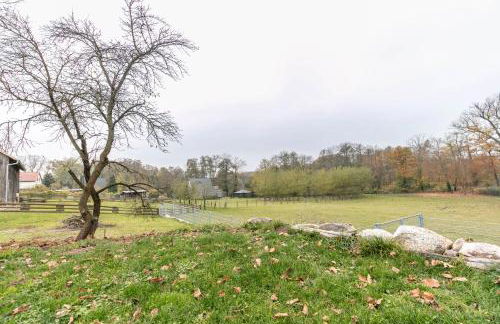 Ferienhof am See - Foto 10