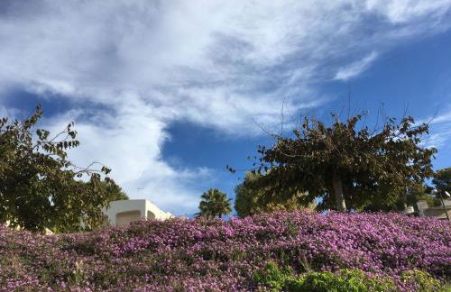 Casa Pagani - Foto 49