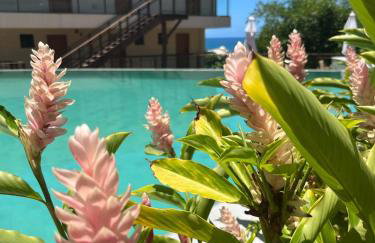 Céu do Morro - Foto 25