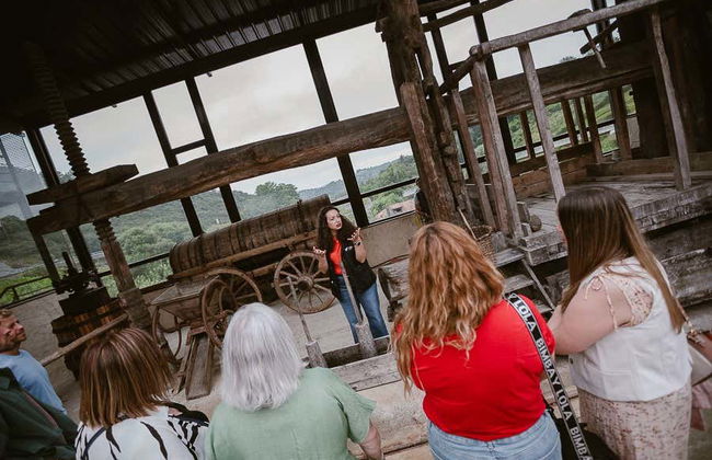Excursión a Albaola + Visita a una sidrería vasca - Foto 3