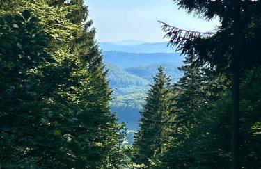 Ferienhaus Marina - Foto 24