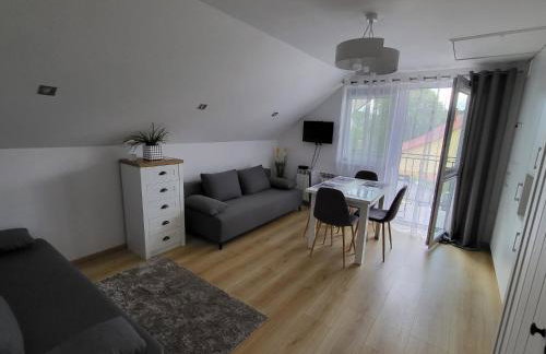 Domek pod Hyrką Bieszczady-Lesko - Foto 6