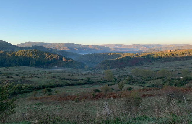 Excursion en 4x4 à l'Etna et aux Gorges d'Alcantara - Photo 1