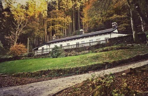 CELYN - SNOWDONIA COTTAGE - Photo 6